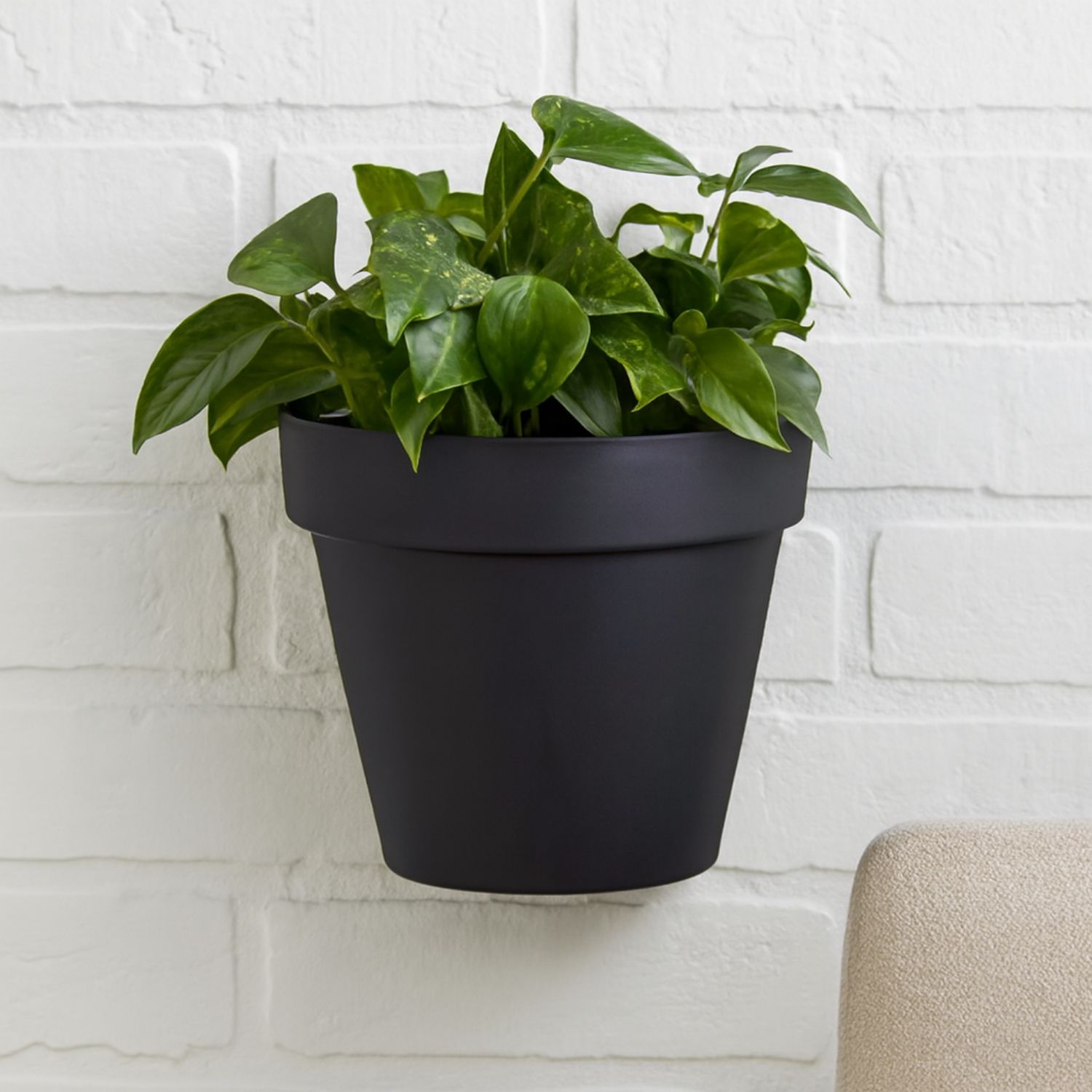 Vaso de Parede Bari 20cm - Floreira Suspe...